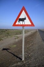 Beware of oryx antelopes (Oryx gazella) sign on a road near Oranjemund, Diamond Sperrgebiet, Karas