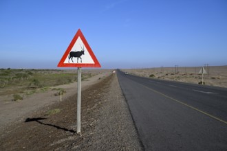 Beware of oryx antelopes (Oryx gazella) sign on a road near Oranjemund, Diamond Sperrgebiet, Karas