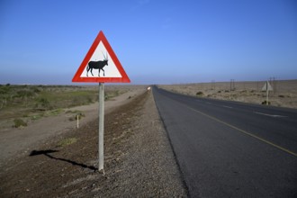 Beware of oryx antelopes (Oryx gazella) sign on a road near Oranjemund, Diamond Sperrgebiet, Karas