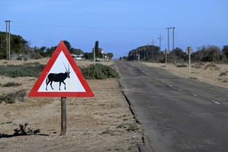 Beware of oryx antelopes (Oryx gazella) sign on a road near Oranjemund, Diamond Sperrgebiet, Karas