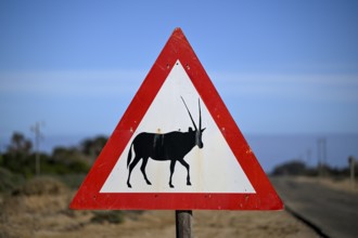 Beware of oryx antelopes (Oryx gazella) sign on a road near Oranjemund, Diamond Sperrgebiet, Karas