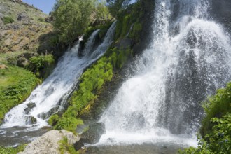 A rushing waterfall flows over moss-covered rocks in a green setting, Shaki Waterfall, Shaki,