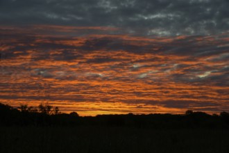 Morning atmosphere, sunrise, clouds, Lower Austria