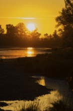 Morning atmosphere, riparian forest, sunrise, Lower Austria