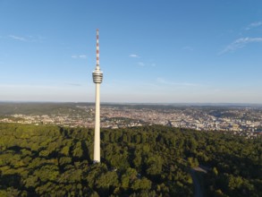 The television tower dominates the landscape with dense forest and an urban panorama in the