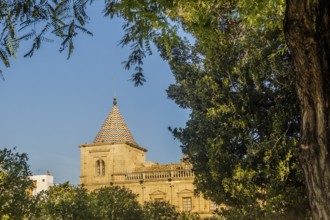 Architecture detail of Andalusian parlament in Seville, Spain