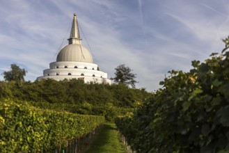 White pagoda behind vineyards in front of a cloudy sky, Stupa am Wagram Grafenwörth Weinviertel