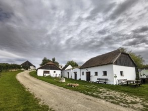 A group of old, traditional houses along a cobbled path under an expansive sky, Kellergasse Hart