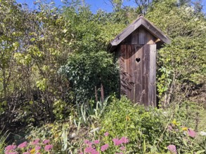 A small wooden house in the garden with a heart symbol on the door Outhouse, surrounded by plants