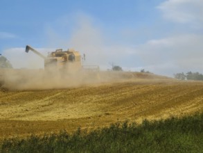 A combine harvester drives across a dusty field under a blue sky, surrounded by harvest and nature,