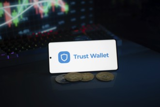 Trust Wallet display with coins against a stock chart backdrop in neon lighting