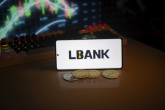 Phone displays LBank logo with crypto coins and trading screen in background