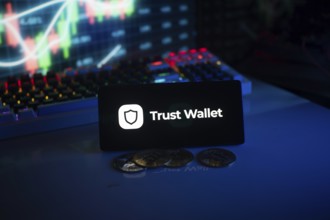 Trust Wallet logo displayed in a dark environment with coins and colorful chart