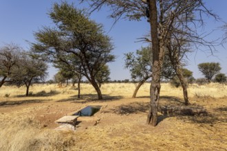 Outjo is a quiet Namibian town surrounded by savannas and hills, with dry sunny nature and calm