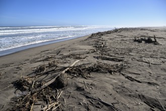 Beach on the Atlantic Ocean near Oranjemund, diamond restricted area, Karas region, Namibia
