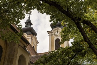 Baroque church towers with clocks, surrounded by deciduous trees under a cloudy sky, parish church