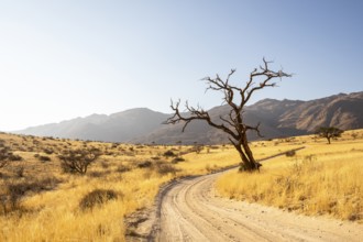 Solitaire is a remote settlement in Namibia, located on the edge of the Namib Desert, surrounded by