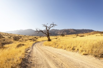 Solitaire is a remote settlement in Namibia, located on the edge of the Namib Desert, surrounded by