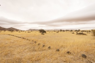 Solitaire is a remote settlement in Namibia, located on the edge of the Namib Desert, surrounded by