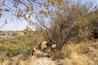A stone pathway winds through dry woodland and bush at the National Botanic Garden, Windhoek,