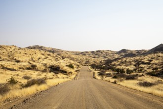 A road Spreetshoogte Pass in Namibia, with a gravel road winding through golden grassland and rocky