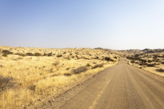 A road Spreetshoogte Pass in Namibia, with a gravel road winding through golden grassland and rocky
