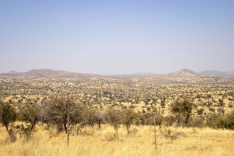 A sweeping view of Windhoek, Namibia, where a desert landscape under a clear blue sky, framed by