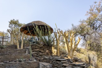 A stone pathway winds through dry woodland and bush at the National Botanic Garden, Windhoek,