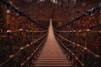 Suspension rope bridge in an autumnal forest with red foliage, Rhineland-Palatinate, Germany