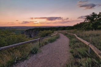 Path to the sunset, Rhineland-Palatinate, Germany