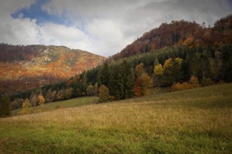 Autumnal mountain landscape with colourful forests and wide meadows under a cloudy sky, Ybbstal