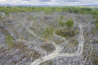 Aerial view over Swedish clearcut area, clearcutting, clearfelling is a forestry, logging practice