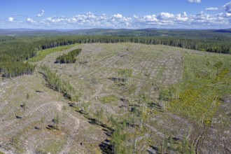 Aerial view over Swedish clearcut area, clearcutting, clearfelling is a forestry, logging practice