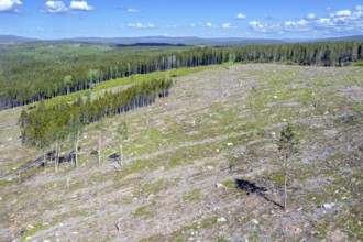 Aerial view over Swedish clearcut area, clearcutting, clearfelling is a forestry, logging practice