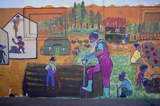 Mural painting of a vegetable garden at a school, Oranjemund, diamond restricted area, Karas