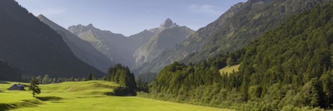 Cleared summer meadow in the Trettachtal, near Oberstdorf, behind it the Kratzer, 2428m and the