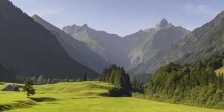 Cleared summer meadow in the Trettachtal, near Oberstdorf, behind it the Kratzer, 2428m and the