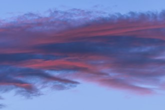 Beautiful sky with twilight showing pink and blue clouds. The colours anticipate day turning into