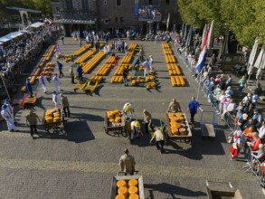A large traditional Dutch cheese market with arrangement of cheese and people standing around,