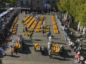 Market event in a city centre with cheese sellers and spectators on a sunny day, aerial view,