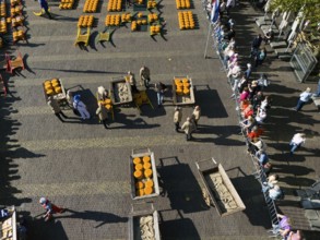Dutch cheese market with people transporting cheese on carts, watched by spectators, aerial view,