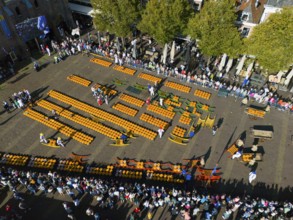 Bird's eye view of busy market square with orange cheeses lined up in a row, aerial view, cheese,