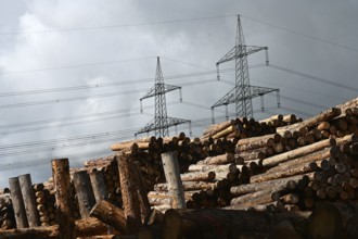 Enegie-Mann timber store in the Westerwald. The wood is processed into wood pellets, some of it