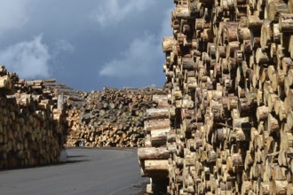 Enegie-Mann timber store in the Westerwald. The wood is processed into wood pellets, some of it
