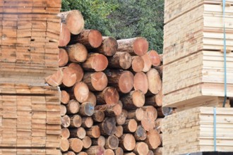 Enegie-Mann timber store in the Westerwald. The wood is processed into wood pellets, some of it