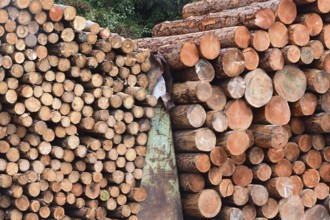 Enegie-Mann wood store in the Westerwald. The wood is processed into wood pellets