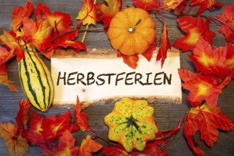 (photomontage) : Wooden sign with the inscription HERBSTFERIEN and autumnal decoration