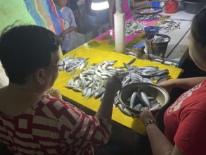 Vendor, Market, Market stall, Fish, San Carlos, Negros Occidental, Philippines