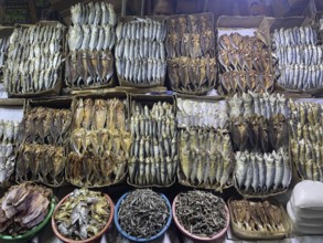 Market, market stall, fish, dried fish, San Carlos, Negros Occidental, Philippines