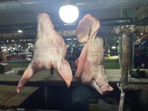 Market, market stall, pig heads, San Carlos, Negros Occidental, Philippines